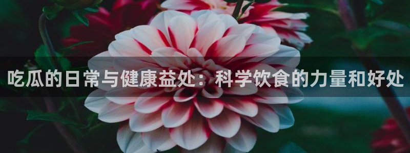 1吃瓜:吃瓜的日常与健康益处:科学饮食的力量和好处
