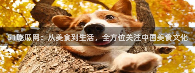 51吃瓜短剧张越女主：51吃瓜网：从美食到生活，全方位关注中国美食文化
