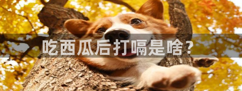 吃瓜事件