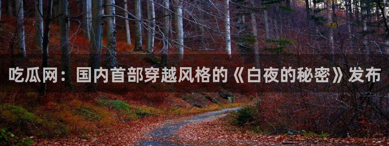 51吃瓜全网最快的吃瓜网站