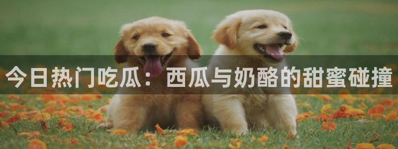 51.cgfun吃瓜：今日热门吃瓜：西瓜与奶酪的甜蜜碰撞