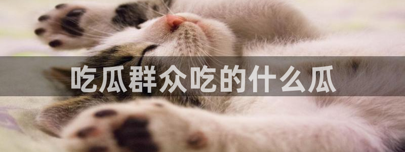 51cg吃瓜今日吃瓜热门大瓜：吃瓜群众吃的什么瓜