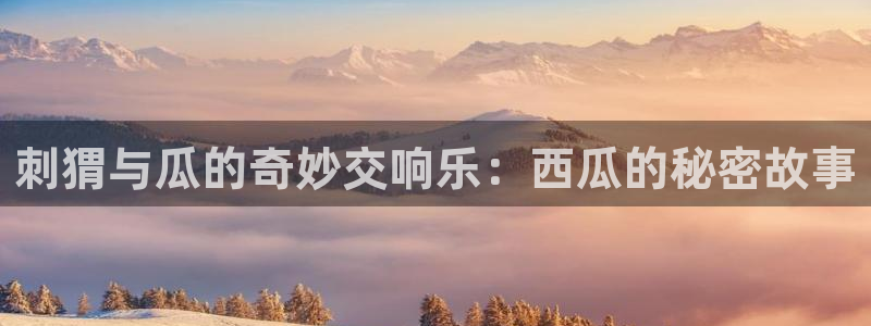 cg吃瓜群众最新版网址：刺猬与瓜的奇妙交响乐：西瓜的秘密故事