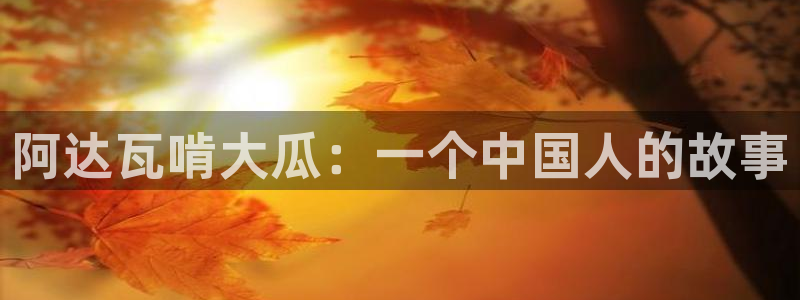 黑料黑料：阿达瓦啃大瓜：一个中国人的故事