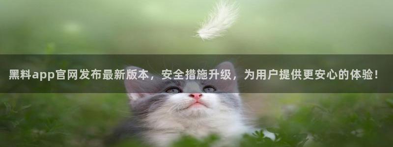 吃瓜吃瓜：黑料app官网发布最新版本，安全措施升级，为用户提供更安心的体验！