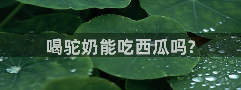 51cg1.ct吃瓜张津瑜：喝驼奶能吃西瓜吗?