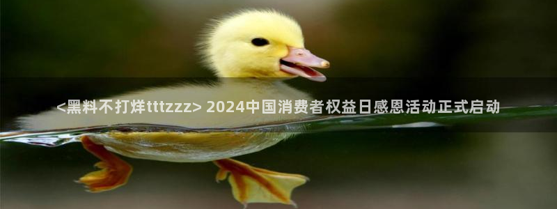 吃瓜新闻