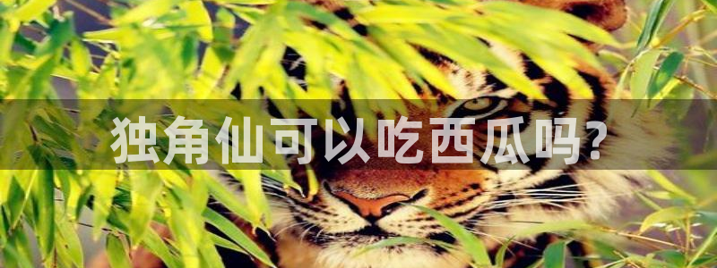 51吃瓜最新吃瓜入口