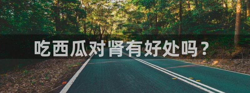 各种网红爆料吃瓜网站