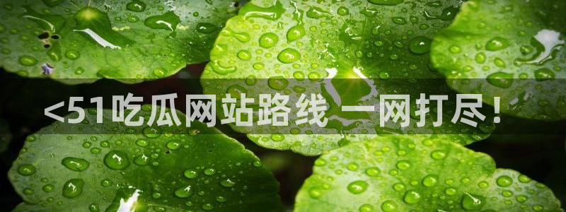 51吃瓜今日吃瓜入口最新：<51吃瓜网站路线 一网打尽！
