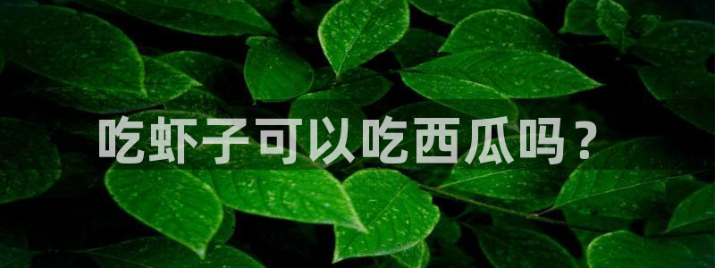 51吃瓜出品短剧怎么下载：吃虾子可以吃西瓜吗？