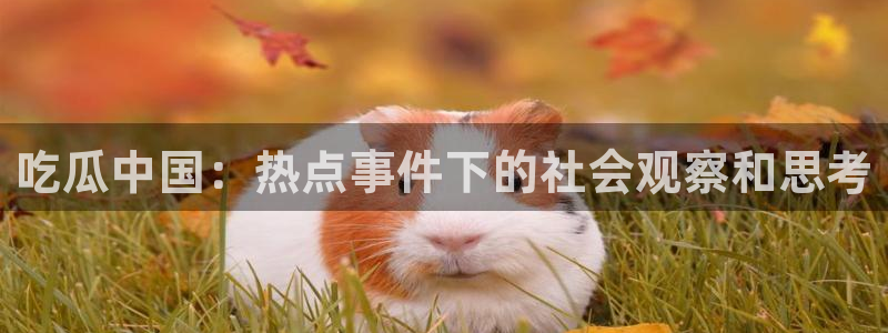 51吃瓜网热门大瓜：吃瓜中国：热点事件下的社会观察和思考