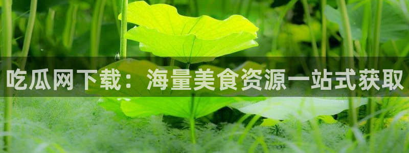 吃小瓜会长胖吗