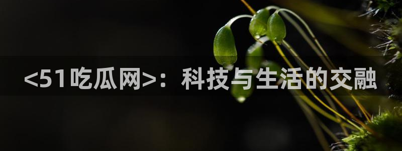 吃瓜事件