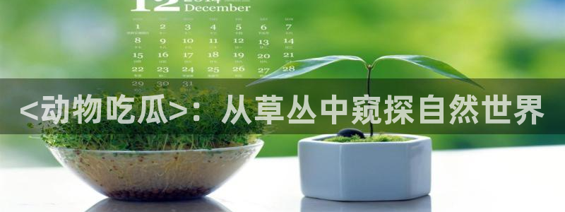 51今日吃瓜热门大瓜入口