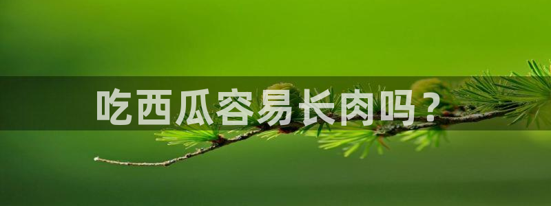 51吃瓜网今日榜单