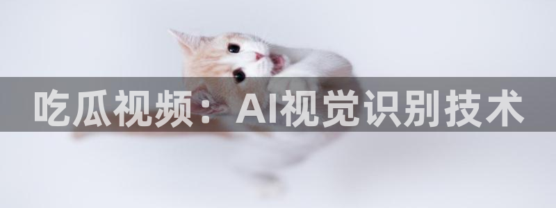 黑料软件