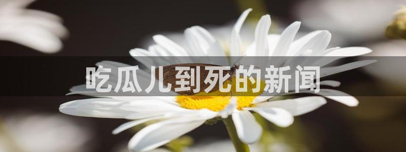 吃瓜电影：吃瓜儿到死的新闻