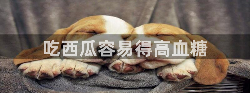 51吃瓜网热门黑料