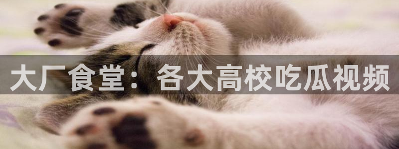 吃瓜最新：大厂食堂：各大高校吃瓜视频