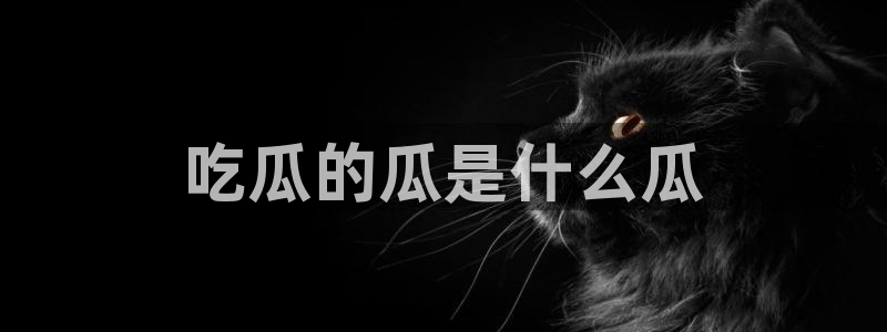 网站吃瓜:吃瓜的瓜是什么瓜
