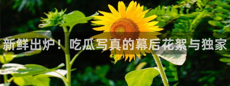 51吃瓜最新吃瓜入口：新鲜出炉！吃瓜写真的幕后花絮与独家