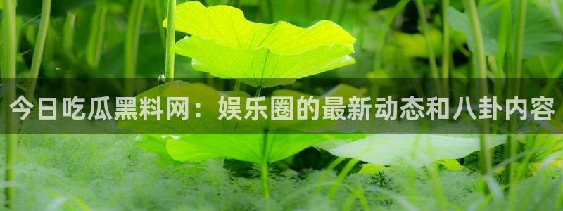 吃瓜网998.su永久有效：今日吃瓜黑料网：娱乐圈的最新动态和八卦内容