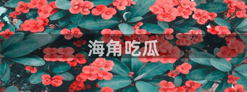 51吃瓜今日吃瓜必吃莫里:海角吃瓜