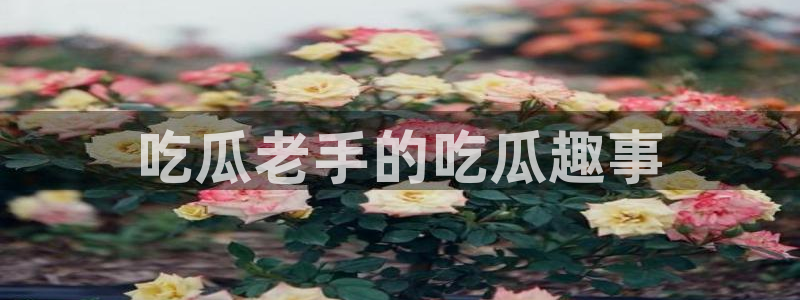八月瓜尽量少吃的原因：吃瓜老手的吃瓜趣事