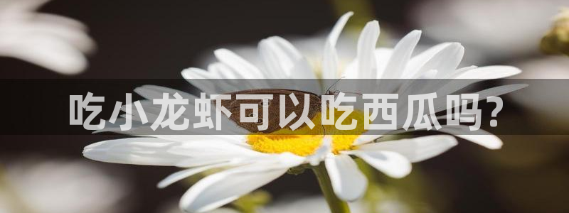 吃瓜的意思