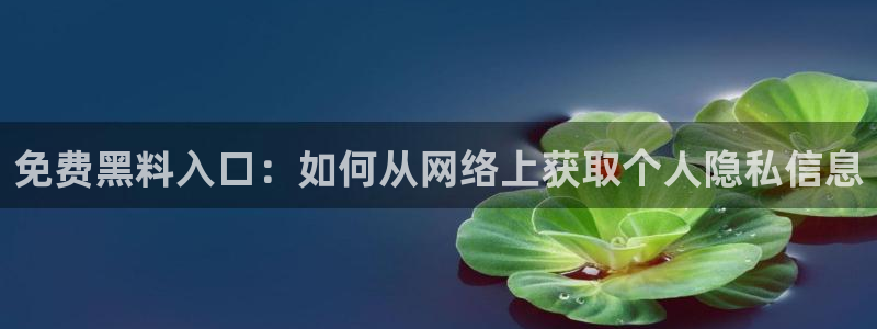 51今日吃瓜热门大瓜入口:免费黑料入口:如何从网络上获取个人隐私信息